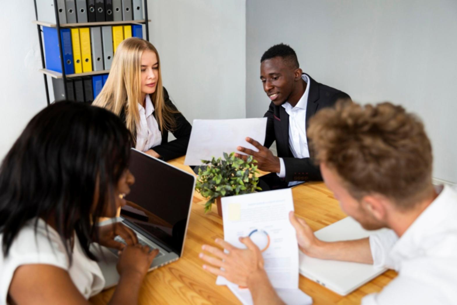 Professional business consultation meeting in modern office environment